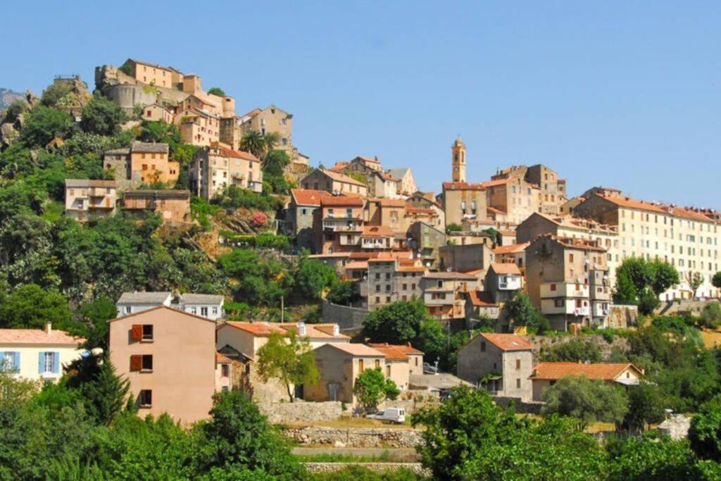 Magnifique Grand 30M2 Refait A Neuf En 2025 Lumineux 4 Couchages Hyper Centre Corte 13 Cours Paoli Wifi Tv Lave Linge 外观 照片